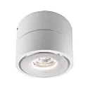Deko-Light Luminaire de plafond UNI II TILT à 1 flamme, pivotant à la cardan IP20, blanche gradable