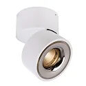 Deko-Light Luminaire de plafond UNI II TILT à 1 flamme, pivotant à la cardan IP20, blanche gradable