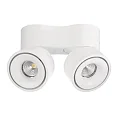 Deko-Light Luminaire de plafond UNI II DOUBLE TILT à 2 flammes, pivotant à la cardan IP20, blanche gradable