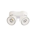 Deko-Light Luminaire de plafond UNI II DOUBLE TILT à 2 flammes, pivotant à la cardan IP20, blanche gradable
