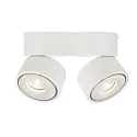 Deko-Light Luminaire de plafond UNI II DOUBLE TILT à 2 flammes, pivotant à la cardan IP20, blanche gradable