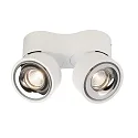 Deko-Light Luminaire de plafond UNI II DOUBLE TILT à 2 flammes, pivotant à la cardan IP20, blanche gradable