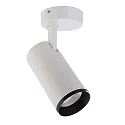 Luminaire de plafond LUCEA TILT 20 CCT Switch, réglable IP20, transparent, blanc trafic gradable