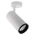 Luminaire de plafond LUCEA TILT 30 CCT Switch, réglable IP20, transparent, blanc trafic gradable