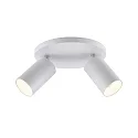 Deko-Light ceiling luminaire CAN TILT ROUND Ø 20CM 2 flames, round, cardanic swivelling GU10 IP20, white