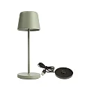 Lampe de table à accu BUNDLE CANIS MINI lot de 1, avec chargeur IP65, vert, mat gradable