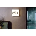 Luminaire mural d’extérieur CASA avec capteur, CCT Switch, commutable IP54, blanche 