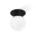 Luminaire de plafond GLOBE 20 E27 IP44, noir mat 