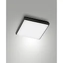 Luminaire de plafond DESDY 24 x 24CM carré, résistant aux chocs, commutable IP54, noir 