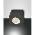 Downlight PALMI IP20, anthrazit, partiellement satiné gradable