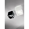 Fabas Luce surface luminaire COIBA square IP20, satined, black