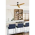 Faro Ventilateur plafonnier ALO CCT avec télécommande IP20, noir mat, pin