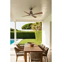 Faro Ventilateur plafonnier TYPHOON M avec télécommande IP44, marron, érable