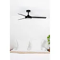 Faro Ventilateur plafonnier BARTH avec télécommande IP20, noir mat