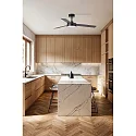 Faro Ventilateur plafonnier BARTH avec télécommande IP20, noir mat