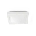 Luminaire de salle de bain TOLA E27 IP44, blanc mat 