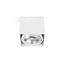 Luminaire de plafond TECTO G53 IP20, blanc mat 
