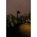 Faro Lampe à piquet de terre FOC 520 LED IP65, gris foncé 