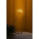 Faro floor recessed luminaire TRAS 25L / 13° / 700MA 12 flames, rigid IP67, black matt dimmable