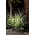 Faro Borne d'éclairage CUCA 650 LED IP65, noir 