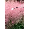 Faro Lampe à piquet de terre CUCA 1193 LED IP65, noir 