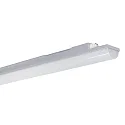Frisch-Licht Luminaire pour locaux humides WNL14 9568 IP68, gris 