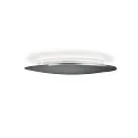 Knapstein Luminaire de plafond ASTRA-C-40 rond, Casambi IP20, nickel mat, noir gradable