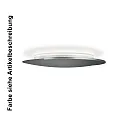 Knapstein Luminaire de plafond ASTRA-C-40 rond, Casambi IP20, noir gradable