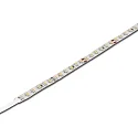 Bande LED LED BASIC TAPE 2 avec prise de courant 500cm, 40W 4000K 120° CRI 90-100