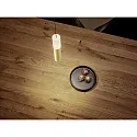 Helestra Luminaire à suspension LIDOS à 1 flamme, direct / indirect IP20, noir mat, feuille d'or gradable
