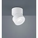 Luminaire de plafond NAKA 15W à 1 flamme, réglable IP20, blanc mat gradable