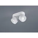 Luminaire de plafond NAKA 30W à 2 flammes, réglable IP20, blanc mat gradable