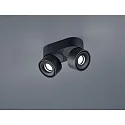 Luminaire de plafond NAKA 30W à 2 flammes, réglable IP20, noir mat gradable