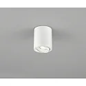 spot NESO cylindrical, swivelling GU10 IP20, white matt dimmable