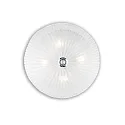 Ceiling luminaire SHELL PL4 Wall luminaire, 4 flames, E27, transparent