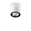 Luminaire de plafond MOOD ROUND QPAR111 pivotant GU10 IP20, acier, blanche
