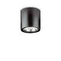 Luminaire de plafond MOOD ROUND QPAR111 pivotant GU10 IP20, noir 