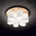 Ideal Lux Luminaire de plafond DAISY 6 flammes E27 IP20, or, blanche