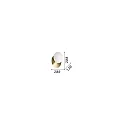 Ideal Lux wall luminaire NINFEA AP1 GX53 IP20, brass