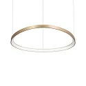 Luminaire à suspension GEMINI 81 contrôlable par DALI IP20, laiton brossé gradable