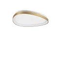 Luminaire de plafond GEMINI 61 contrôlable par DALI IP20, laiton brossé gradable