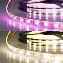 Bande LED SIL RGB+WW Flexband