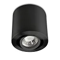 Luminaire de plafond pivotant IP20, noir  gradable
