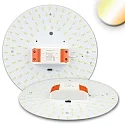 LED conversion board ColorSwitch, Ø 25cm, 230V AC, 25W 2600|3100|4000K 3200lm 120°, incl. magnet + pre-installed transformer