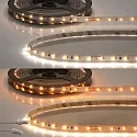 Bande LED CRI919/940 MiniAMP Flexband