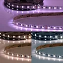 Bande LED SIL-RGB+W+WW Flexband
