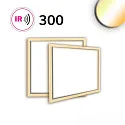 Cadre lumineux pour PREMIUM PROFESSIONAL 300 IP44, blanche gradable
