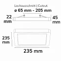 ISOLED surface / recessed luminaire FLEX PRO 235X235 CCT Switch, adjustable IP44, white dimmable