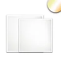 Panneau à LED BACKLIGHT LINE 625 ColorSwitch - 1-10V DIM CCT Switch, UGR < 19, 1-10V
