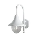 Luminaire mural d’extérieur BARI E27 IP44, transparent, blanche